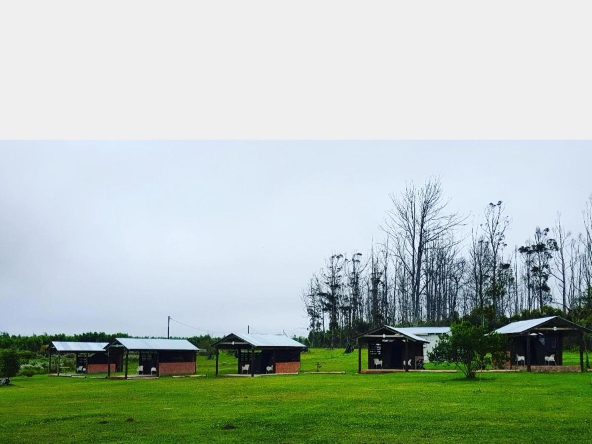 Witelsbos Cadeau Hiking And Accommodation מראה חיצוני תמונה