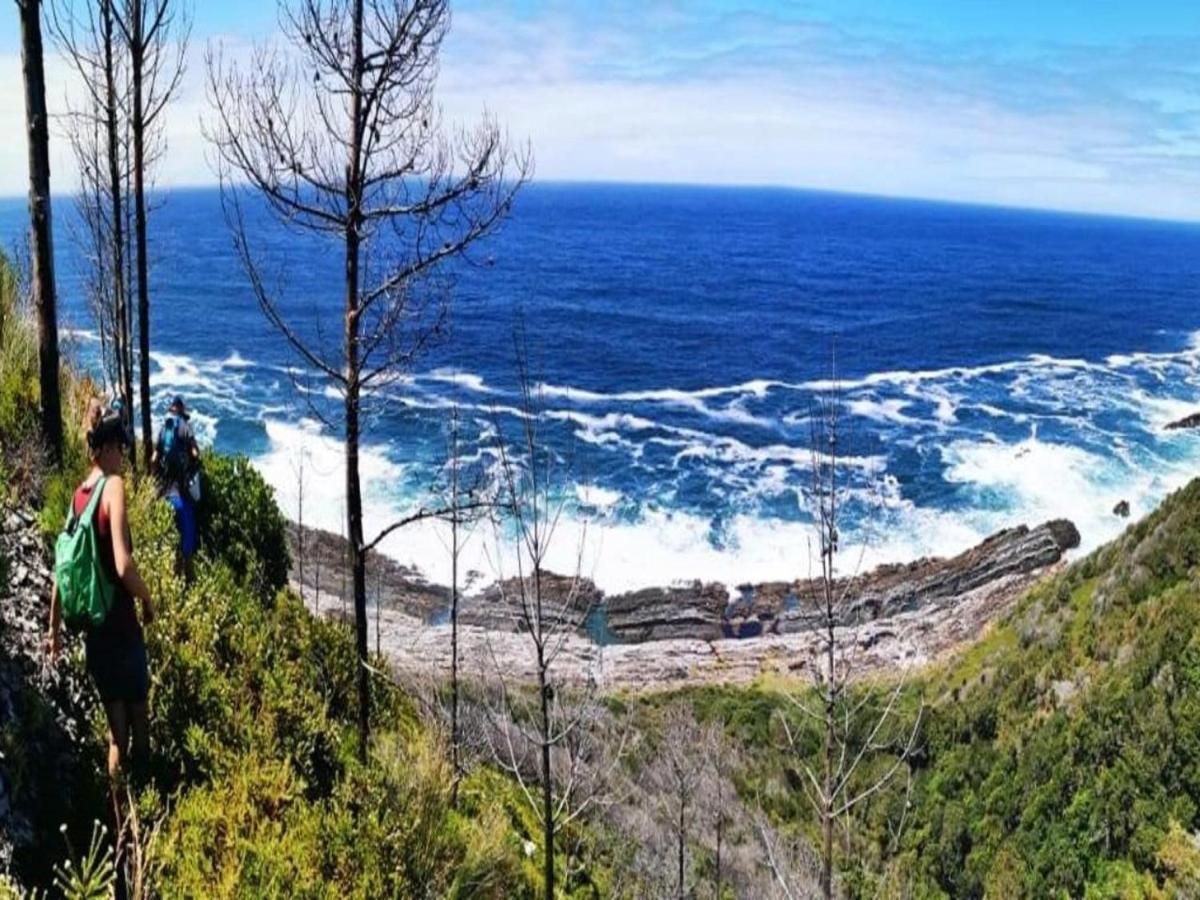 Witelsbos Cadeau Hiking And Accommodation מראה חיצוני תמונה